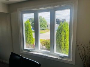 Proline Doors and Windows photo 2